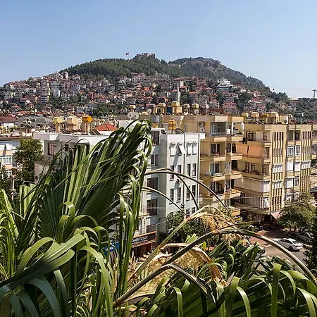 Comfort ホテル 3*